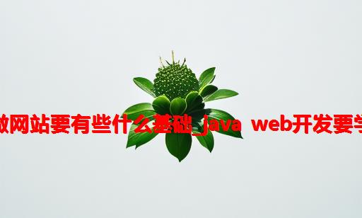 java做网站要有些什么基础_java web开发要学什么